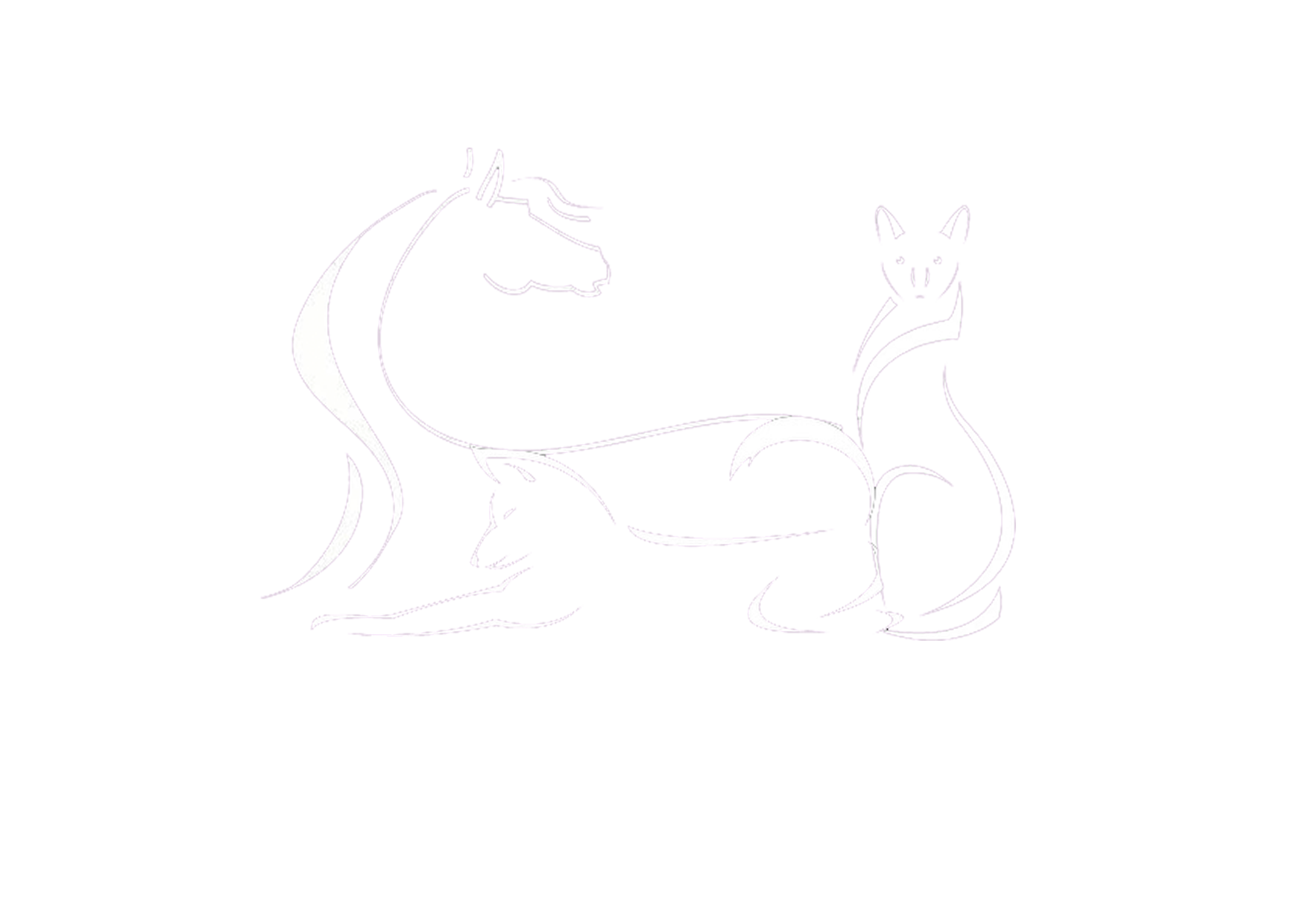 Ostéopatte'mobile